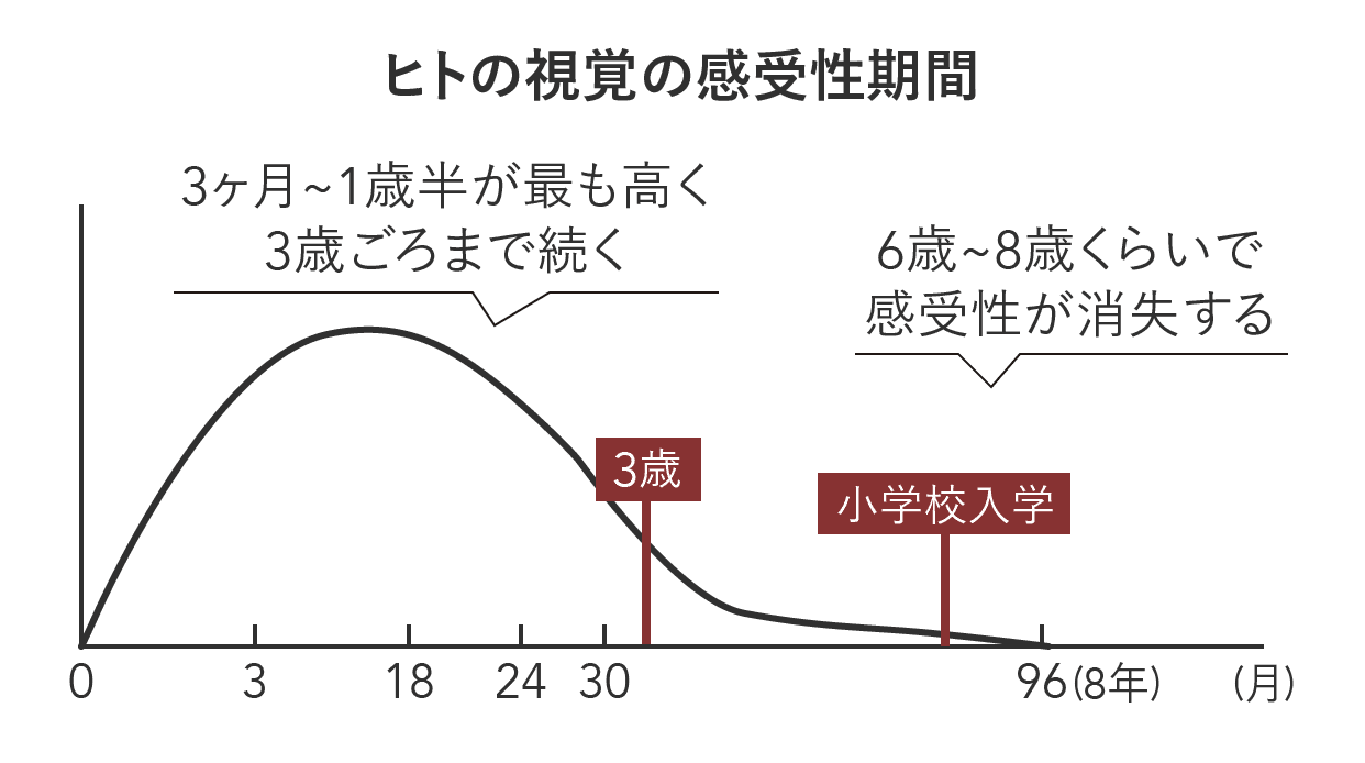 ヒトの視覚の感受性期間